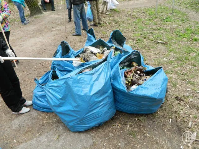 Сотні чернігівців вийшли з самого ранку на загальноміський суботник (Фоторепортаж) — фото 8
