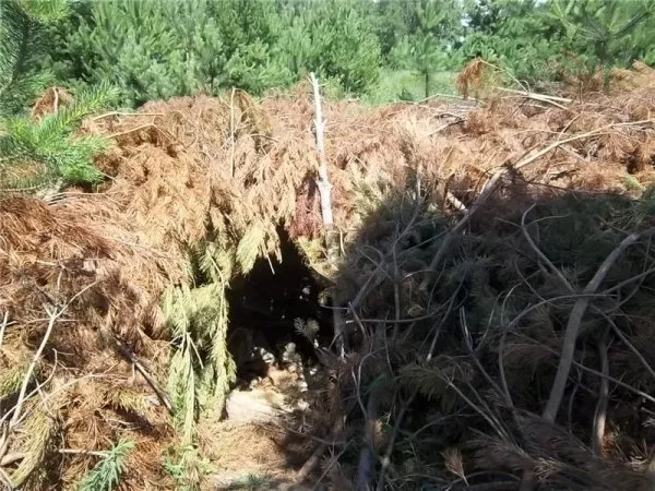 У Городянському районі, де дислокувалися військові, після них залишилися гниючі консерви та груди сміття (Фото) — фото 2