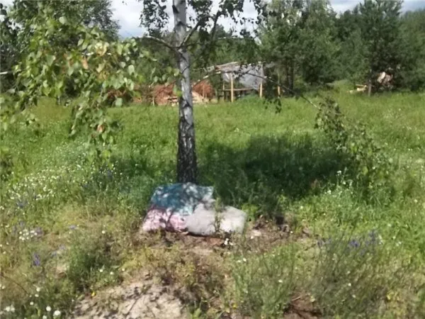 У Городянському районі, де дислокувалися військові, після них залишилися гниючі консерви та груди сміття (Фото) — фото 4