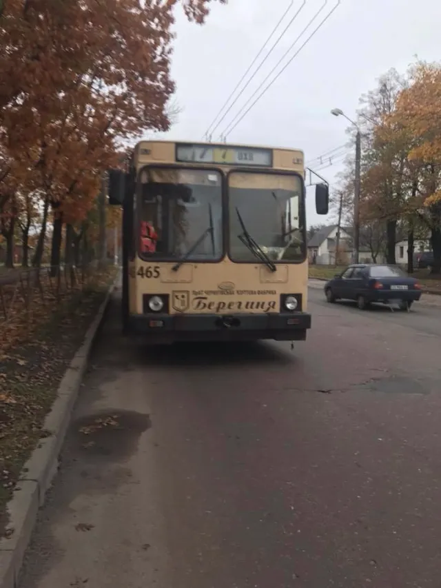 Бабусю випхав на вулицю кондуктор тролейбуса — фото 2
